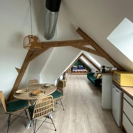 Apartament Les Toits D'Austerlitz Strasburg Zewnętrze zdjęcie