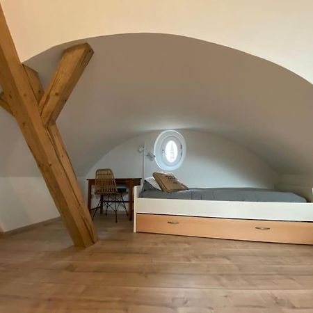 Apartament Les Toits D'Austerlitz Strasburg Zewnętrze zdjęcie