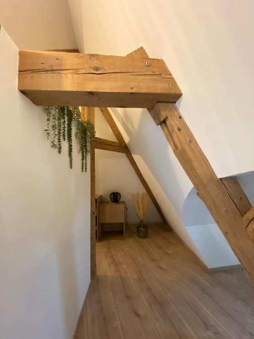 Apartament Les Toits D'Austerlitz Strasburg Zewnętrze zdjęcie